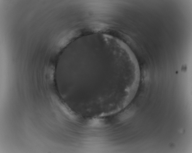 X0000113850664200910151213