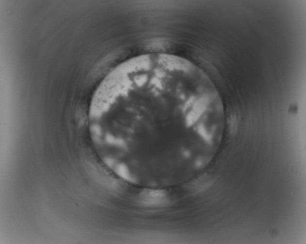 X0000113850665200910151213