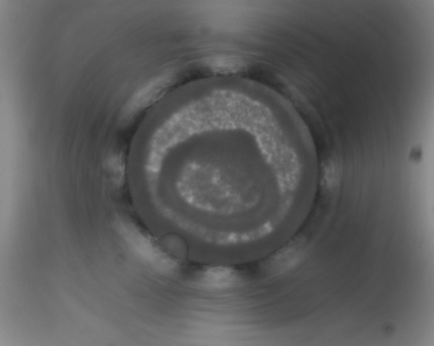 X0000113850666200910151213