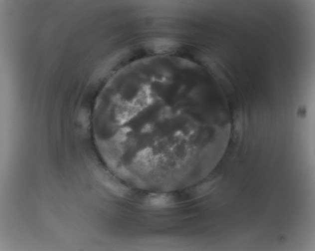 X0000113850667200910151213