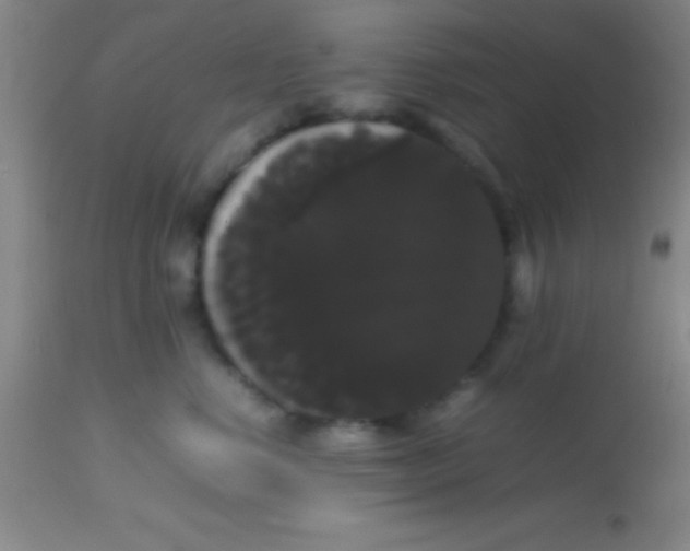 X0000113850668200910151213