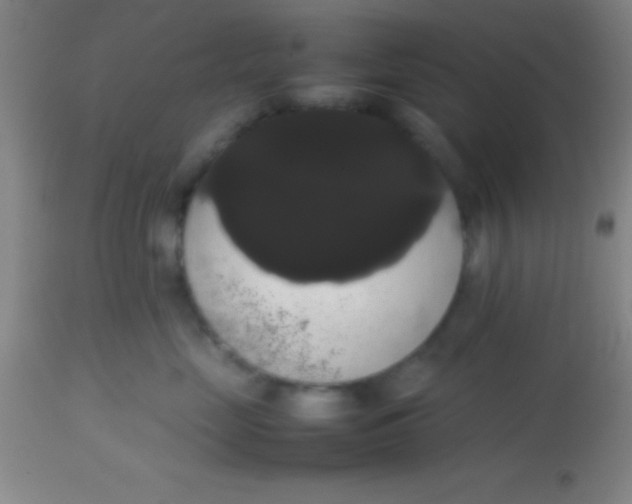 X0000113850669200910151213