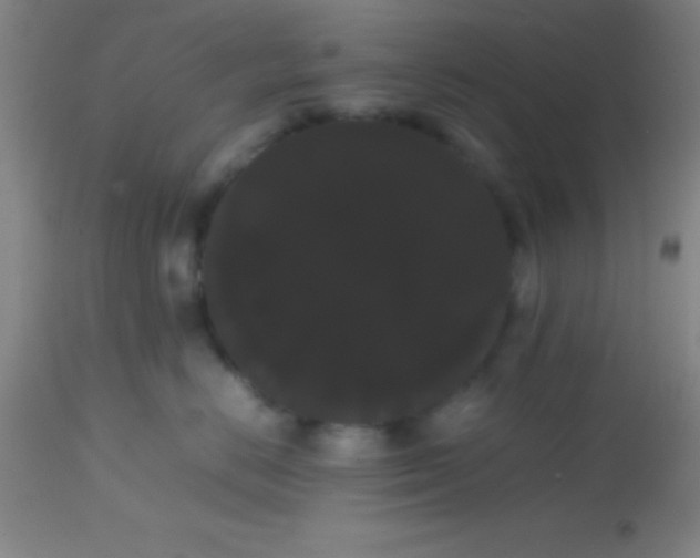 X0000113850670200910151213