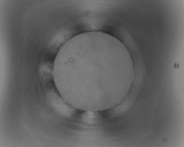 X0000113850672200910151213