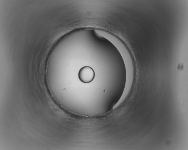 X0000113850673200910151212