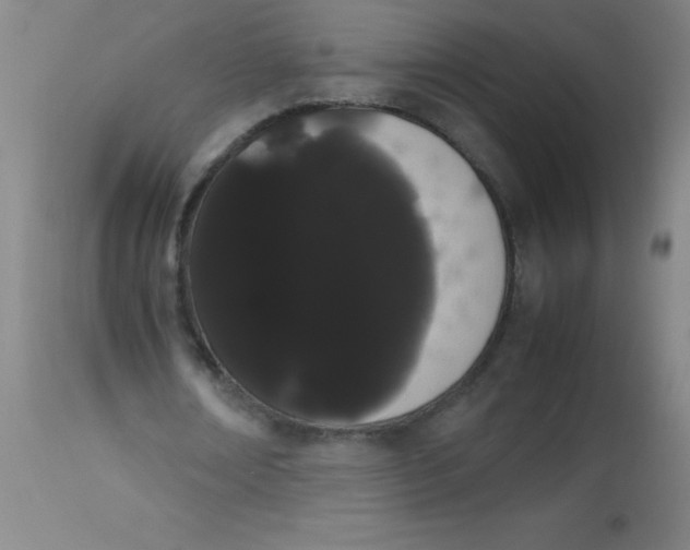 X0000113850674200910151212