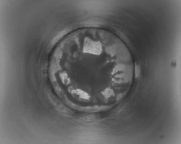 X0000113850675200910151212