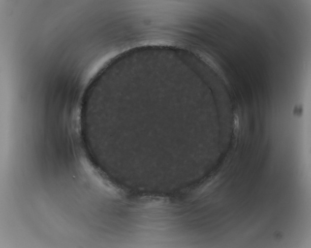 X0000113850676200910151212