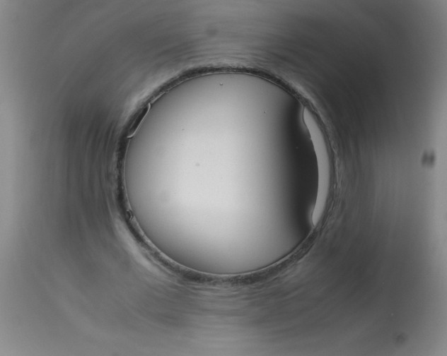 X0000113850677200910151212