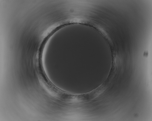 X0000113850678200910151212