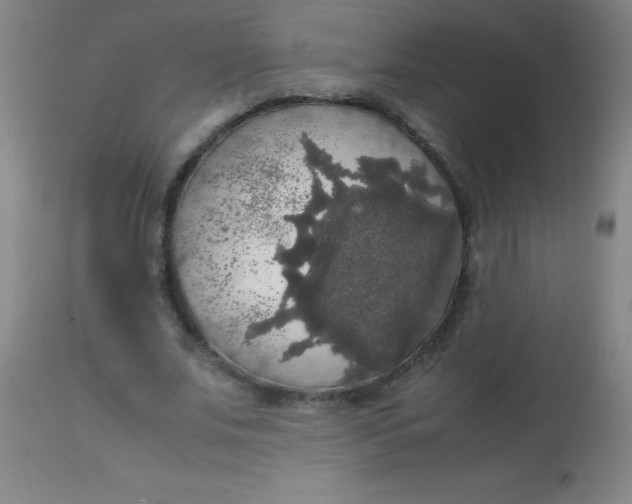 X0000113850679200910151212