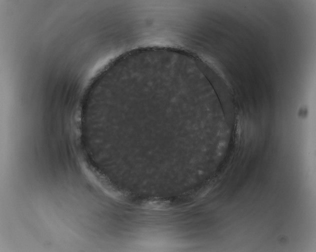 X0000113850680200910151212