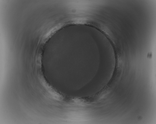 X0000113850681200910151212