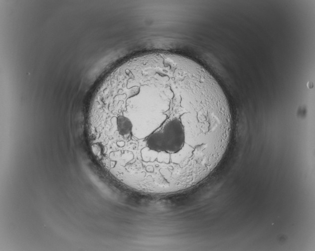 X0000113850683200910151212