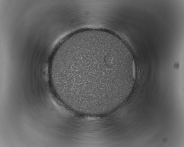 X0000113850684200910151212