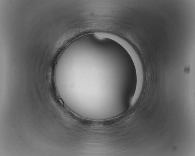 X0000113850685200910151212