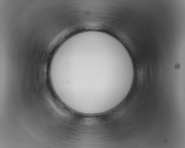 X0000113850686200910151212