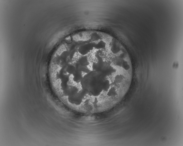 X0000113850687200910151212