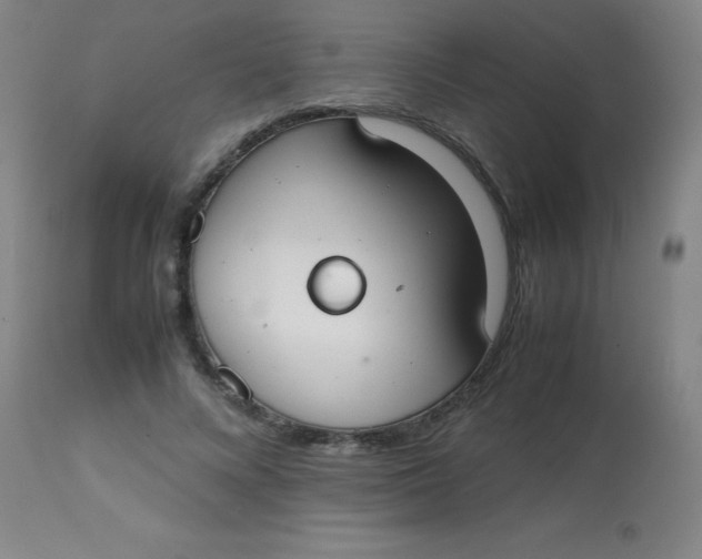 X0000113850688200910151212