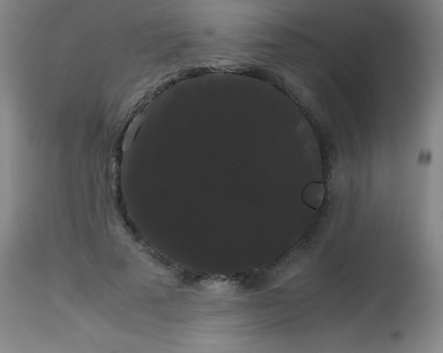 X0000113850689200910151212