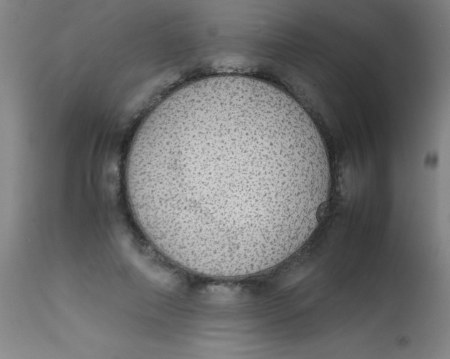 X0000113850690200910151212