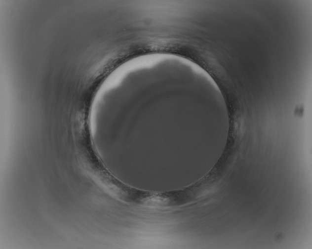 X0000113850691200910151212