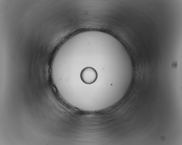 X0000113850692200910151212