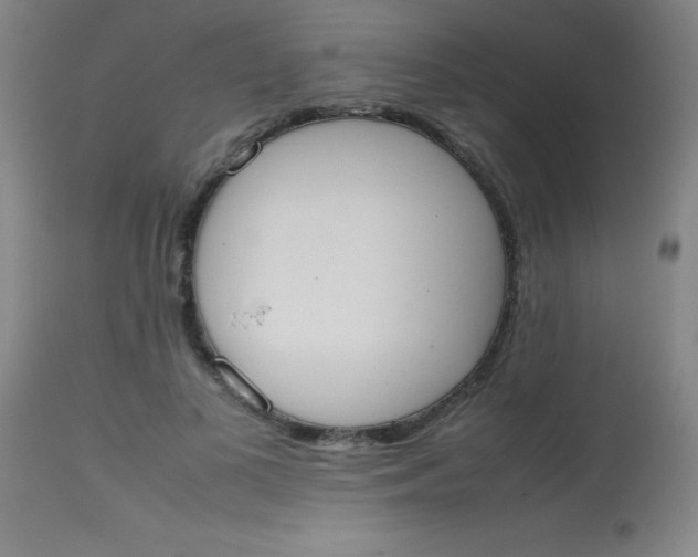 X0000113850693200910151212