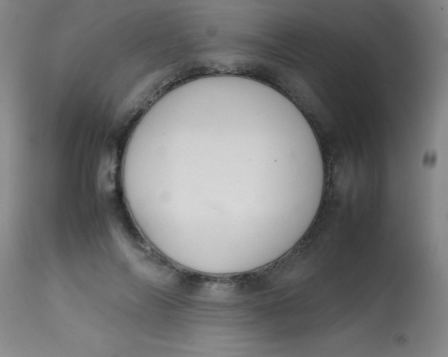 X0000113850694200910151212