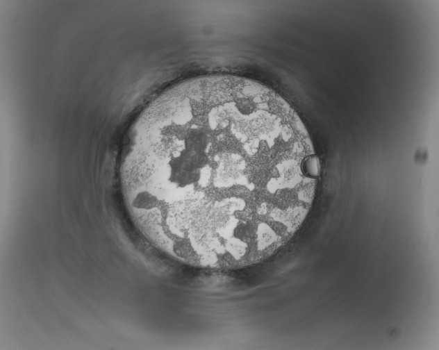 X0000113850695200910151212