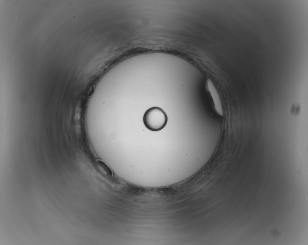 X0000113850696200910151212