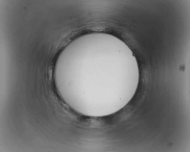 X0000113850697200910151212