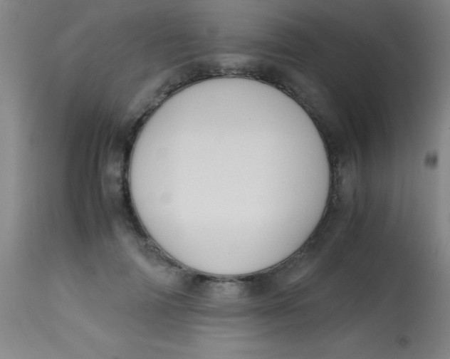 X0000113850698200910151212