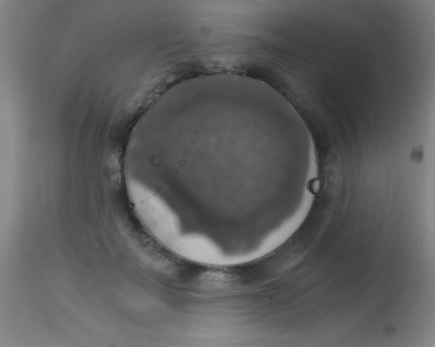 X0000113850699200910151212