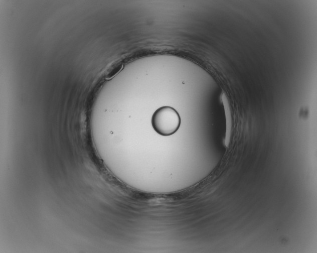 X0000113850700200910151212