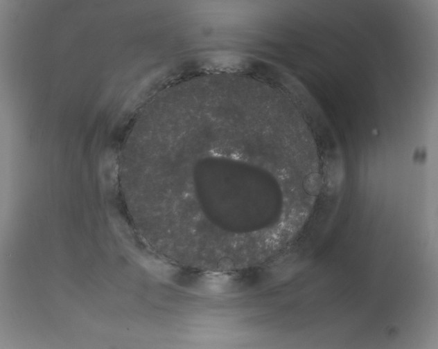 X0000113850701200910151212