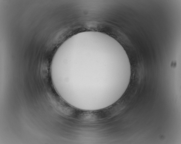 X0000113850702200910151212