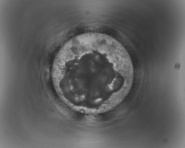 X0000113850703200910151212