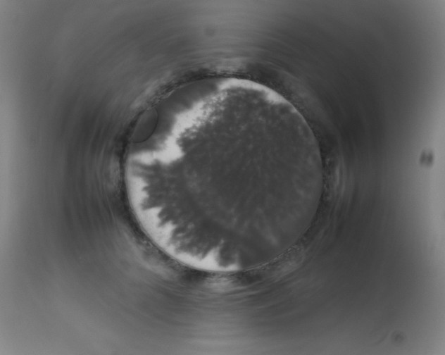 X0000113850704200910151212