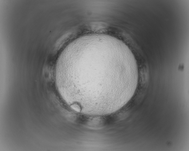 X0000113850705200910151212