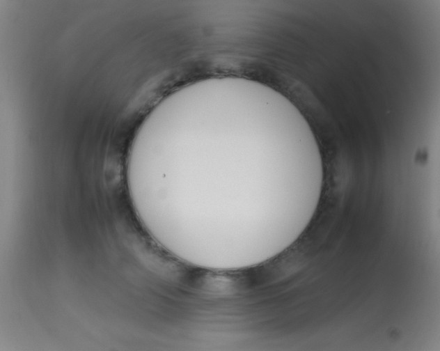 X0000113850706200910151212