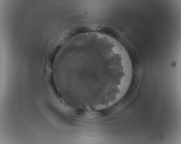 X0000113850707200910151212