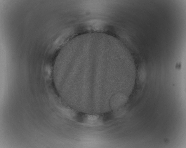 X0000113850709200910151212