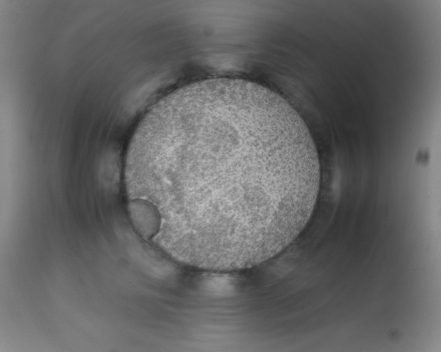 X0000113850710200910151212