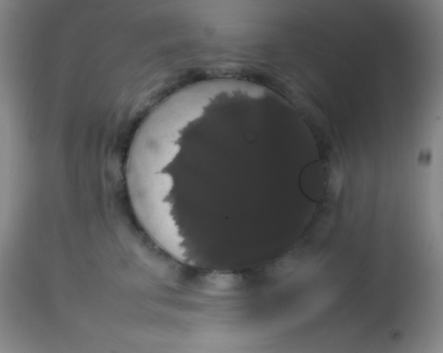 X0000113850711200910151212