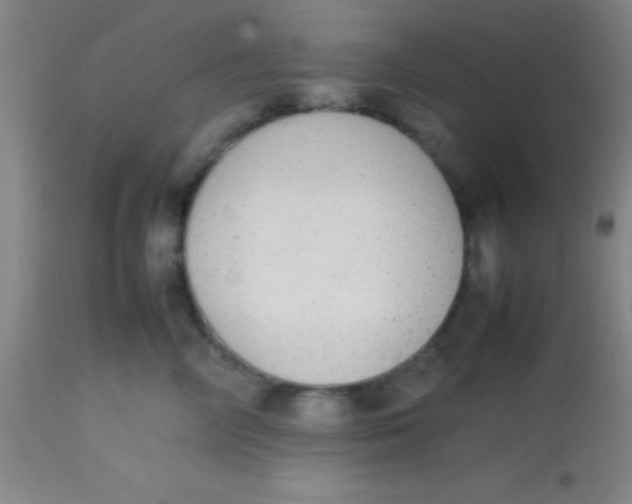 X0000113850714200910151212