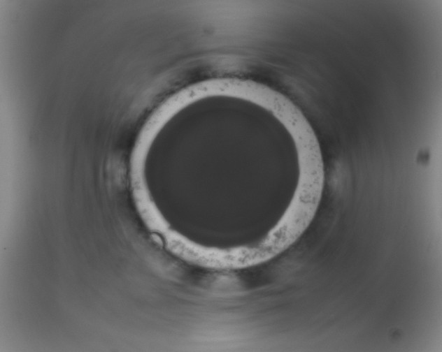 X0000113850715200910151212