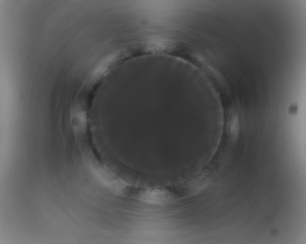 X0000113850716200910151212