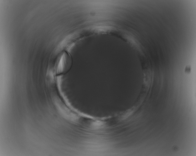 X0000113850718200910151212