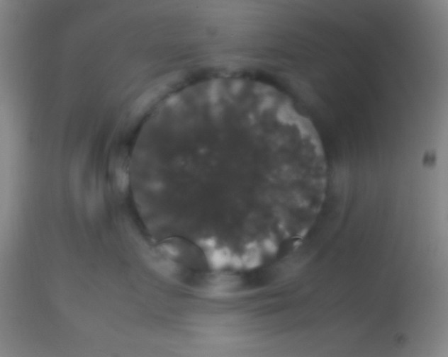 X0000113850719200910151212